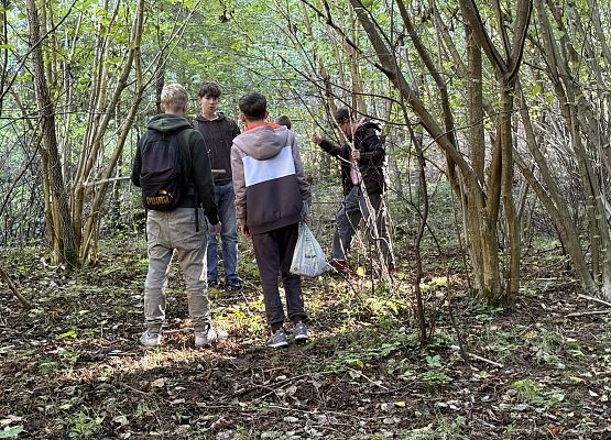 Grafika 9: Barwy jesieni