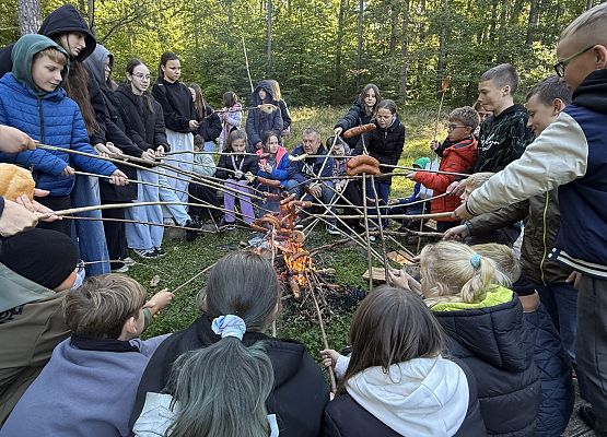 Grafika 13: Barwy jesieni