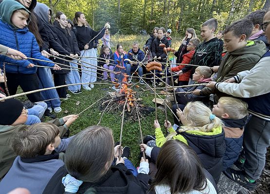 Grafika 14: Barwy jesieni