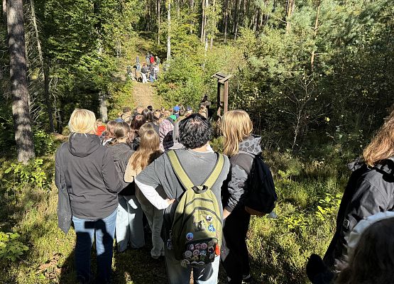 Grafika 15: Barwy jesieni