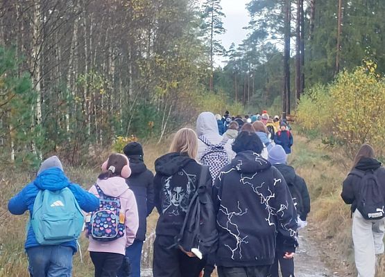 Grafika 2: Szkolne Koło Turystyczno - Krajoznawcze