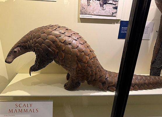 Grafika 40: Trzy dni pełne wrażeń w Londynie!