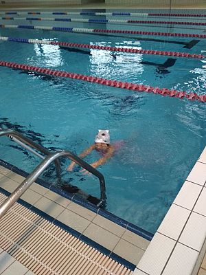 Grafika #7: ZAKOŃCZENIE PROJEKTU " UMIEM PŁYWAĆ"