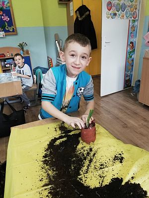 Grafika #7: Zakładamy klasowy ogródek