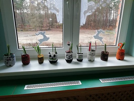 Grafika #15: Zakładamy klasowy ogródek