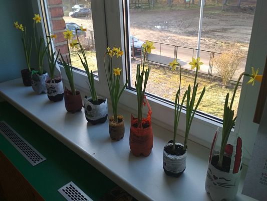 Grafika #0: Zakładamy klasowy ogródek