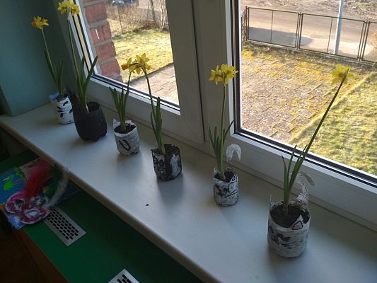 Grafika #19: Zakładamy klasowy ogródek