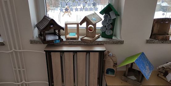 Grafika #7: ROZSTRZYGNIĘCIE SZKOLNEGO KONKURSU NA KARMNIK DLA PTAKÓW