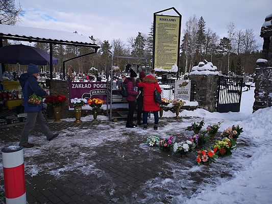 Grafika #6: Wielka Orkiestra Świątecznej Pomocy
