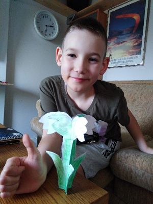 Grafika #12: Co robi klasa II?