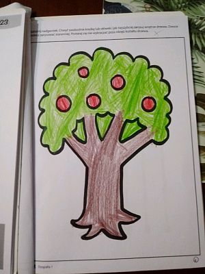 Grafika #3: Uczymy się 