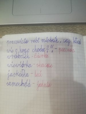 Grafika #11: Uczymy się 