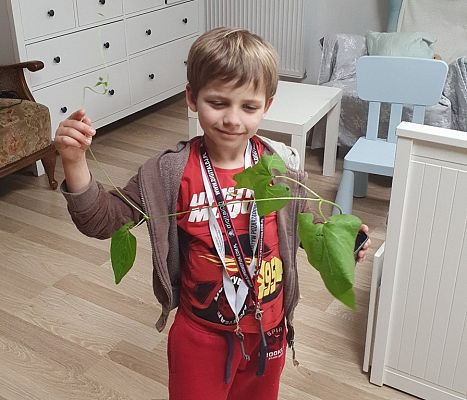 Grafika #7: Maluszki w domu się nie nudzą..