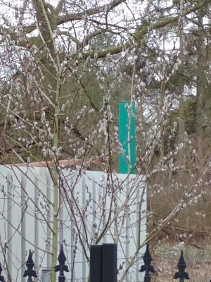 Grafika #3: POSZUKIWACZE WIOSNY