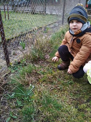 Grafika #4: POSZUKIWACZE WIOSNY