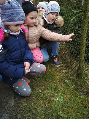 Grafika #7: POSZUKIWACZE WIOSNY