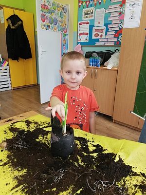 Grafika #4: Zakładamy klasowy ogródek