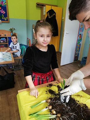 Grafika #2: Zakładamy klasowy ogródek