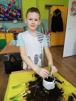 Grafika #17: Zakładamy klasowy ogródek