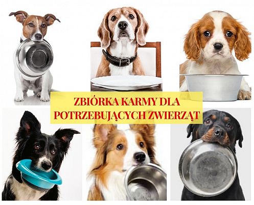 Grafika #1: POMOC DLA ZWIERZĄT ZE SCHRONISKA