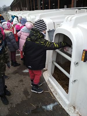 Grafika #2: WIZYTA W GOSPODARSTWIE ROLNYM