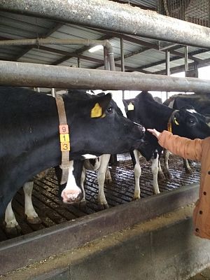 Grafika #6: WIZYTA W GOSPODARSTWIE ROLNYM