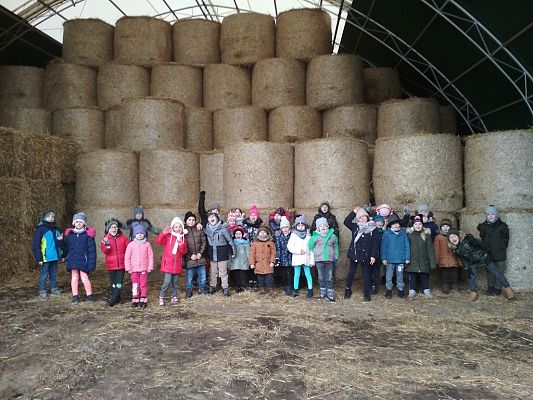 Grafika #0: WIZYTA W GOSPODARSTWIE ROLNYM