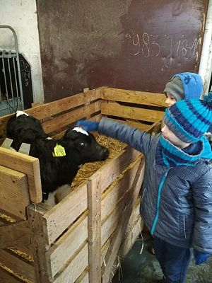 Grafika #9: WIZYTA W GOSPODARSTWIE ROLNYM