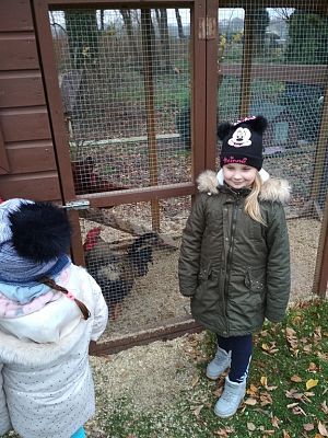 Grafika #12: WIZYTA W GOSPODARSTWIE ROLNYM