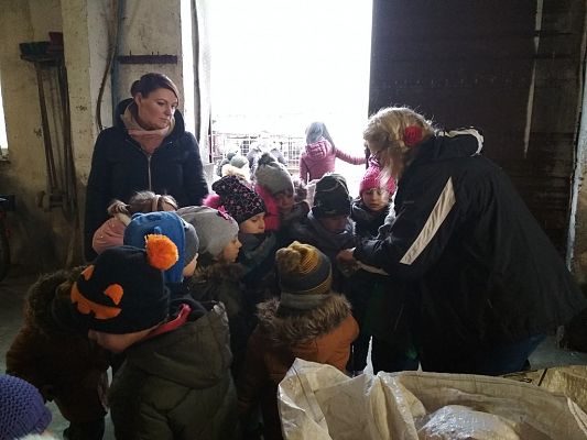 Grafika #15: WIZYTA W GOSPODARSTWIE ROLNYM