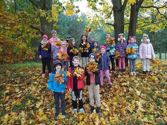 Grafika #0: JESIEŃ W KLASIE I