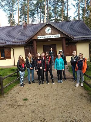 Grafika #0: Wycieczka do Szkółki Leśnej