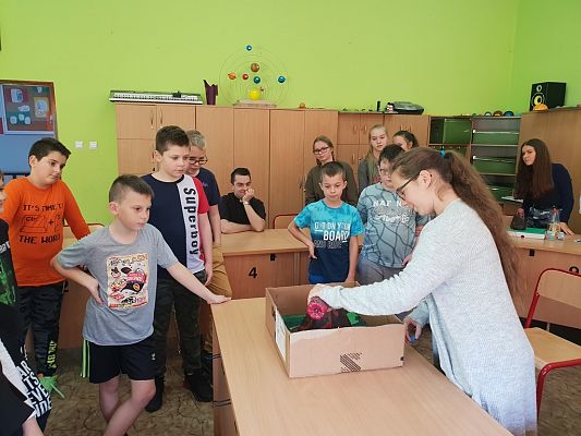 Grafika #6: WULKANY NA GEOGRAFII