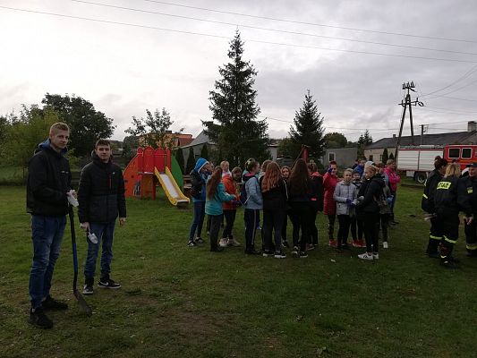 Grafika #1: Wsparliśmy akcję "Wspólne sadzenie żonkili" w Pogorzelicach