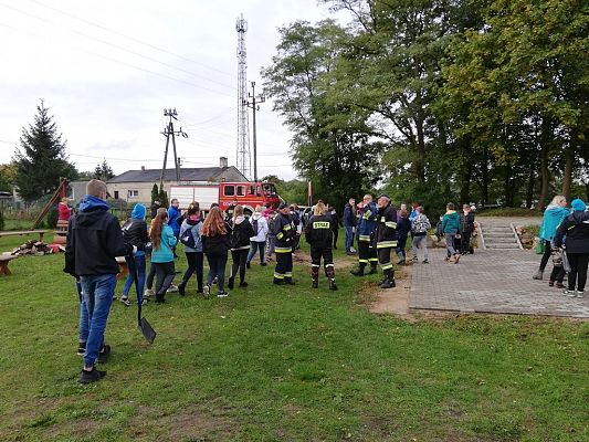 Grafika #2: Wsparliśmy akcję "Wspólne sadzenie żonkili" w Pogorzelicach