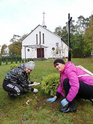 Grafika #5: Wsparliśmy akcję "Wspólne sadzenie żonkili" w Pogorzelicach