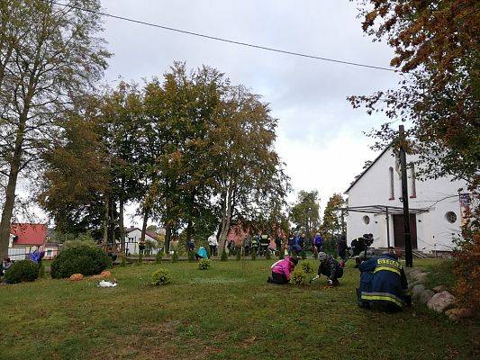 Grafika #6: Wsparliśmy akcję "Wspólne sadzenie żonkili" w Pogorzelicach