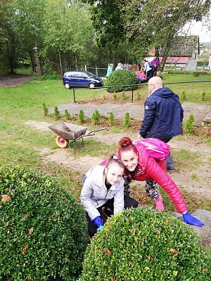 Grafika #7: Wsparliśmy akcję "Wspólne sadzenie żonkili" w Pogorzelicach