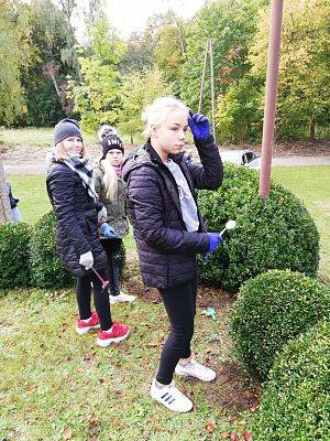 Grafika #8: Wsparliśmy akcję "Wspólne sadzenie żonkili" w Pogorzelicach