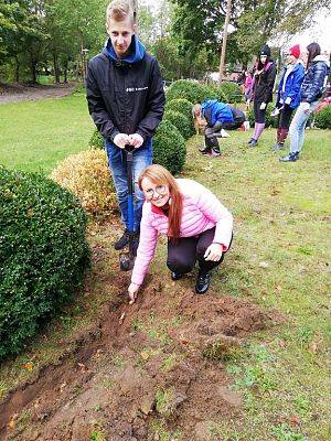 Grafika #9: Wsparliśmy akcję "Wspólne sadzenie żonkili" w Pogorzelicach