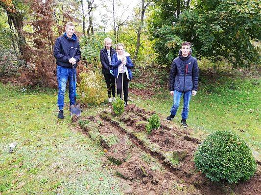 Grafika #10: Wsparliśmy akcję "Wspólne sadzenie żonkili" w Pogorzelicach