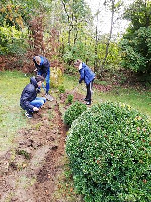 Grafika #12: Wsparliśmy akcję "Wspólne sadzenie żonkili" w Pogorzelicach