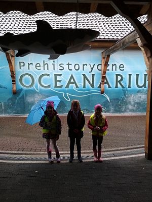 Grafika #4: WYCIECZKA KLASY I i II DO SEA PARKU W SARBSKU