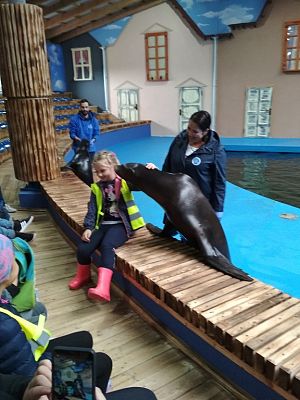 Grafika #13: WYCIECZKA KLASY I i II DO SEA PARKU W SARBSKU