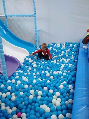 Grafika #15: WYCIECZKA KLASY I i II DO SEA PARKU W SARBSKU