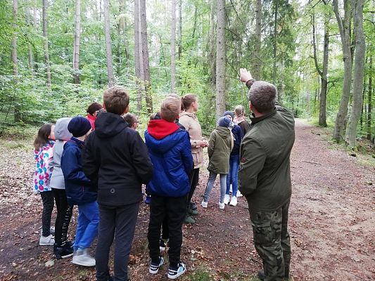 Grafika #0: Odwiedziliśmy najstarszy i największy dąb na Kaszubach