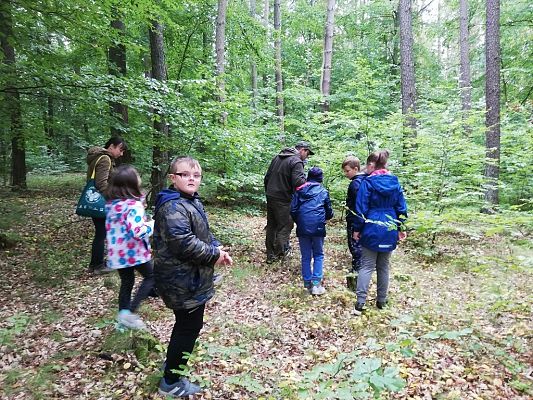 Grafika #1: Odwiedziliśmy najstarszy i największy dąb na Kaszubach