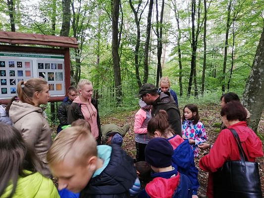 Grafika #2: Odwiedziliśmy najstarszy i największy dąb na Kaszubach