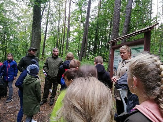 Grafika #3: Odwiedziliśmy najstarszy i największy dąb na Kaszubach