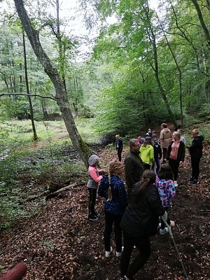 Grafika #4: Odwiedziliśmy najstarszy i największy dąb na Kaszubach